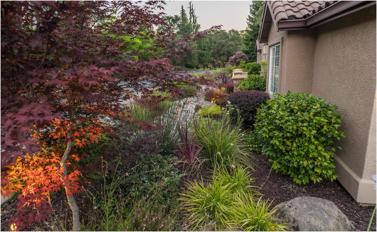 Sacramento Landscape Designer