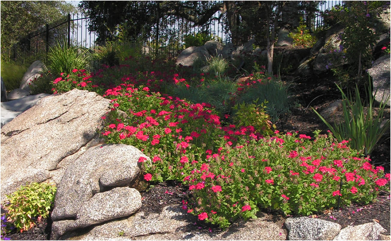 Sacramento Landscape Designer