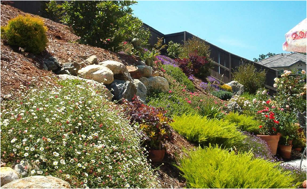 Sacramento Landscape Designer