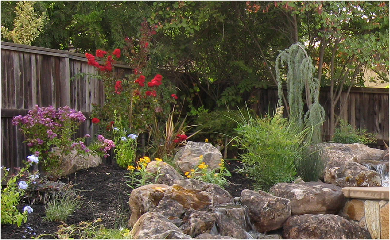 Sacramento Landscape Designer