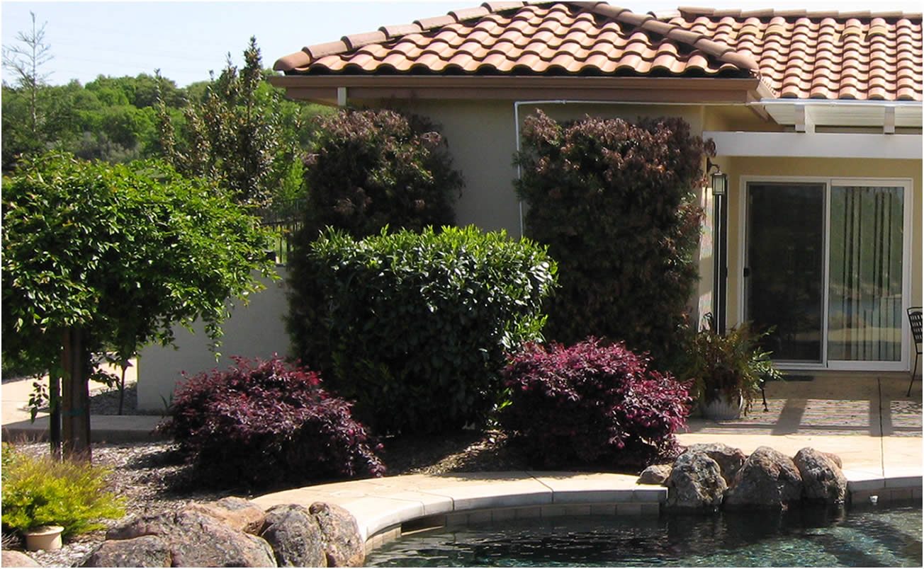 Sacramento Landscape Designer