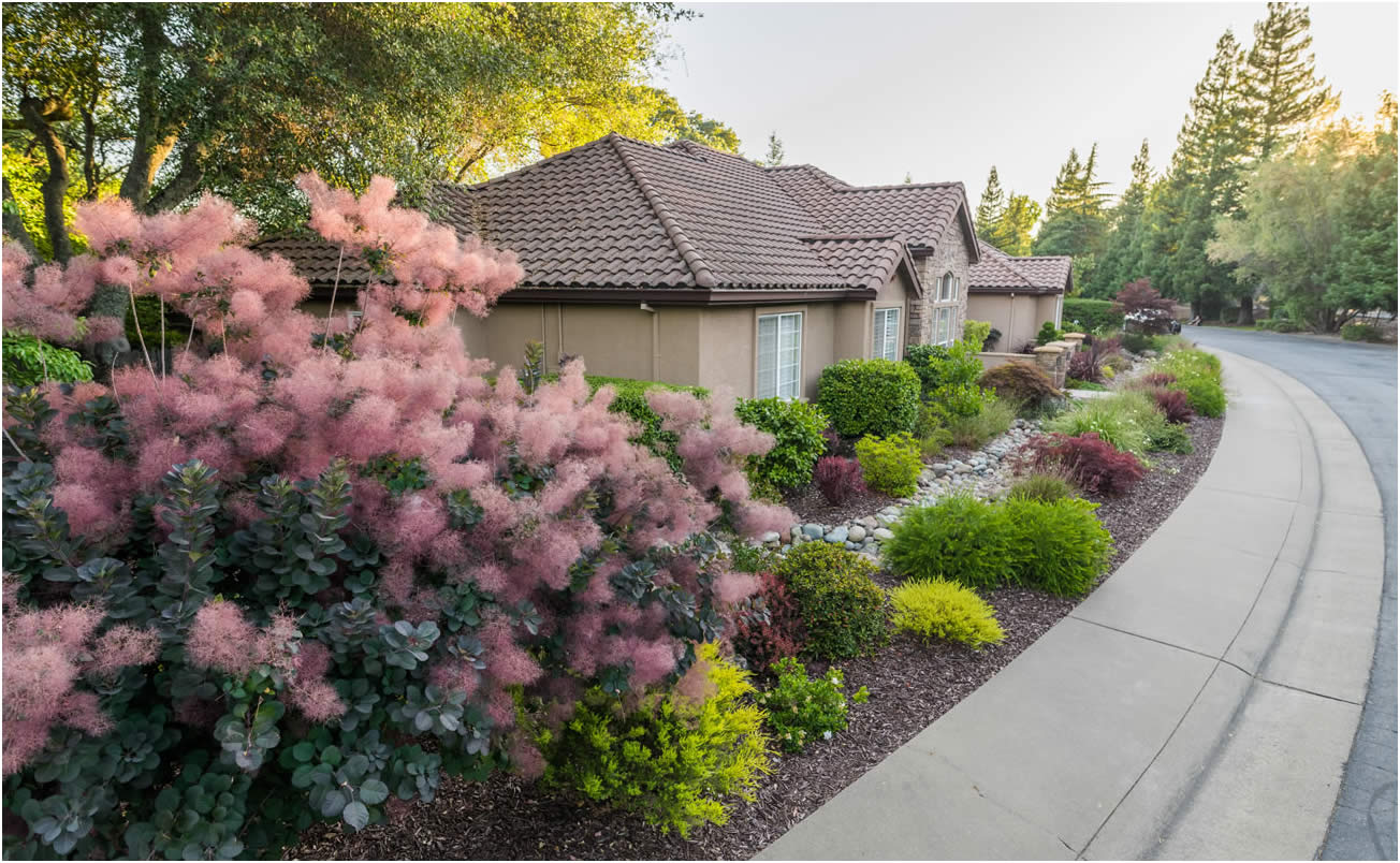 Sacramento Landscape Designer