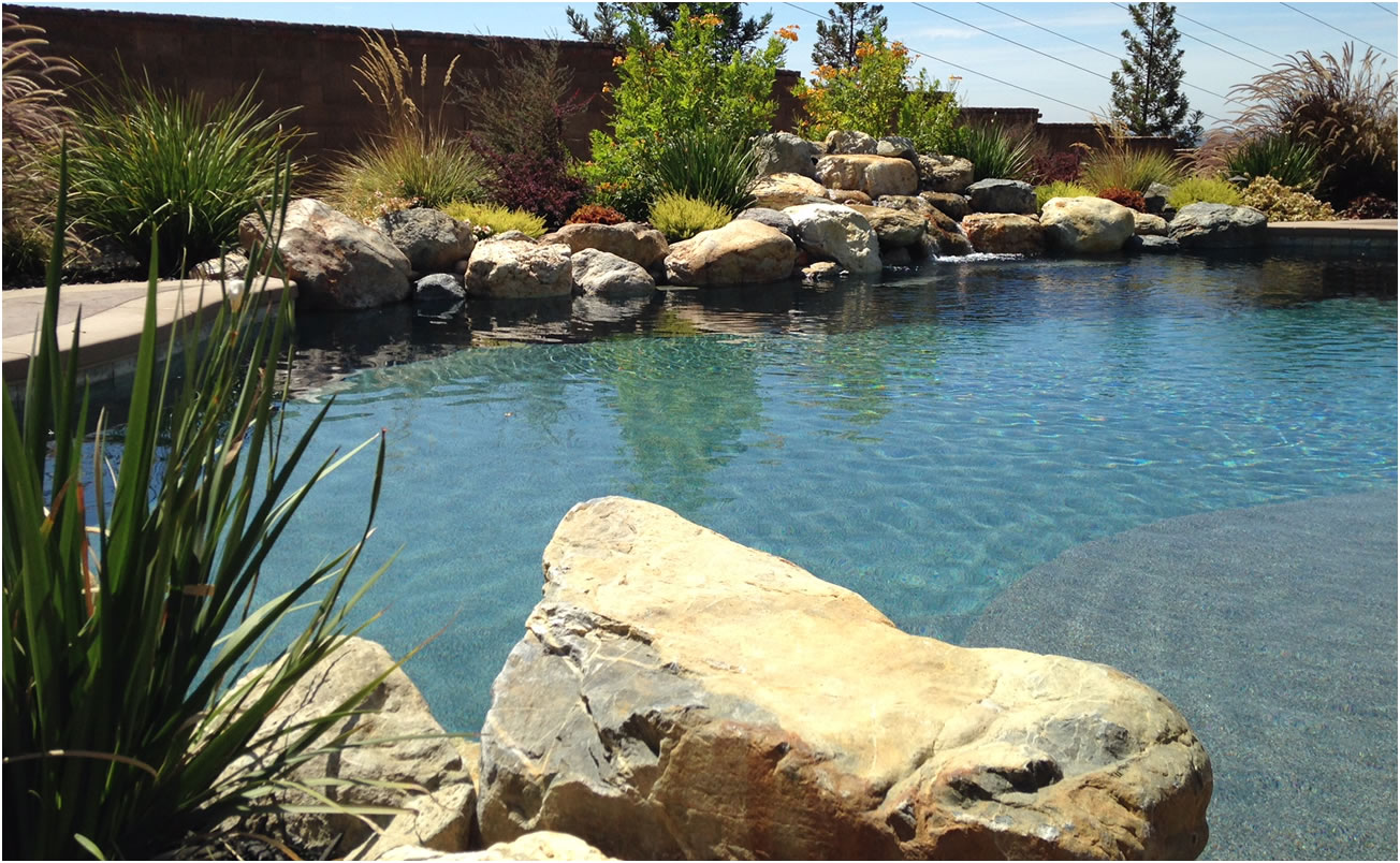 Sacramento Pool Designer