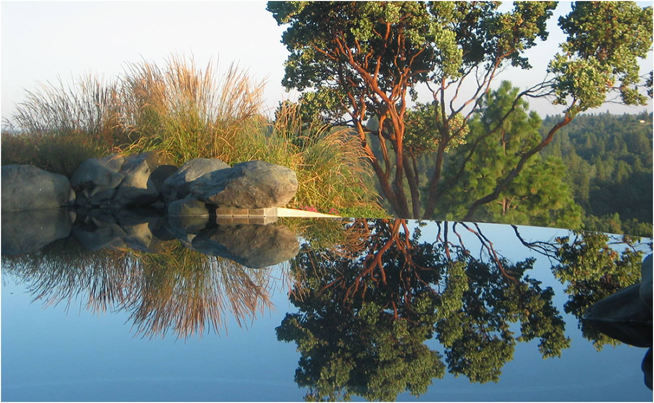 Sacramento Pool Designer