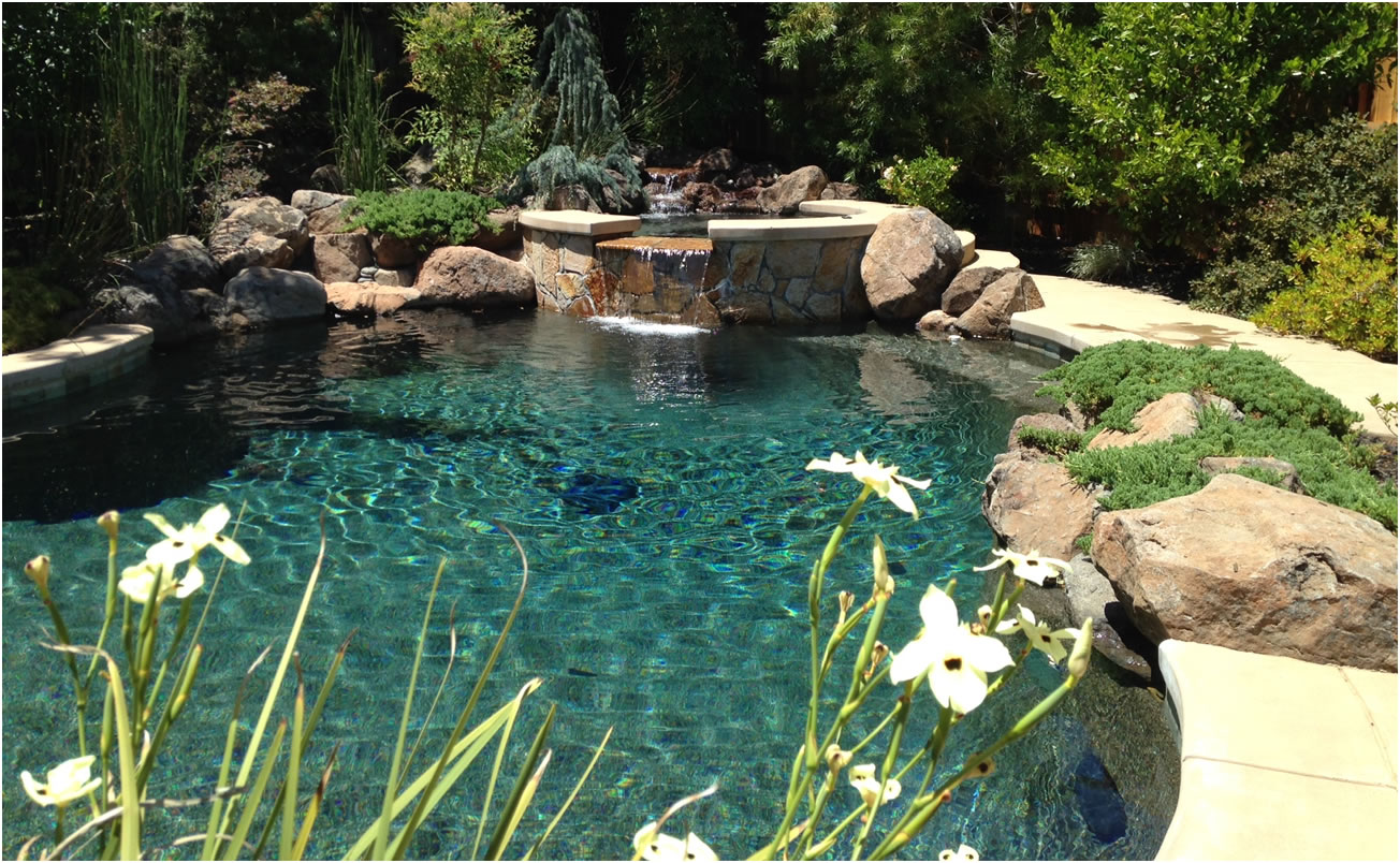 Sacramento Pool Designer